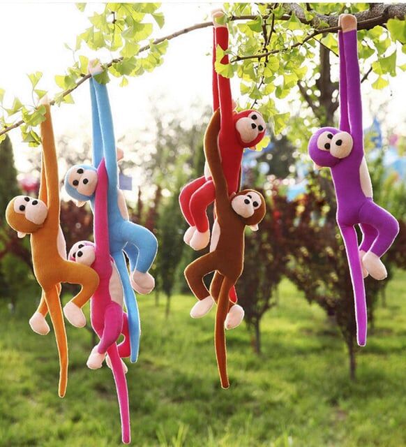 Elleri Yapışabilen Sevimli Maymun