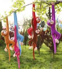 Elleri Yapışabilen Sevimli Maymun